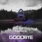 Goodbye Apparat (Farfacid remix) - Farfacid lyrics