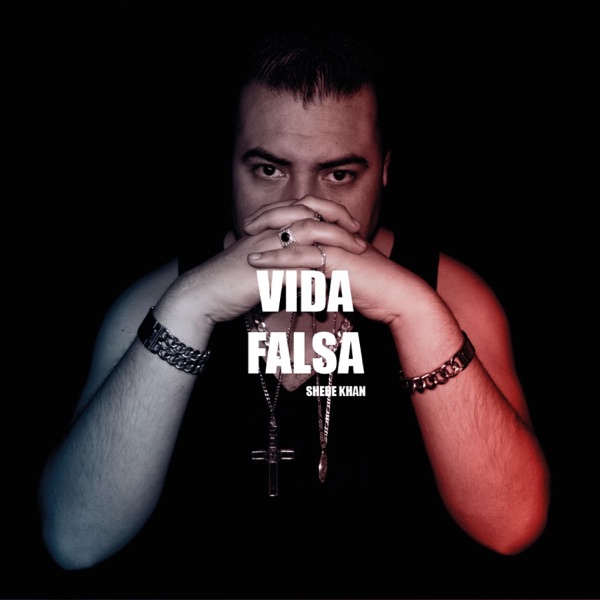 Vida Falsa