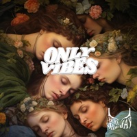 Only Vibes (slowed) - COURTSIDEJAY