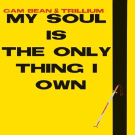 My Soul Is the Only Thing I Own Trillium & Cam Bean