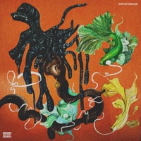winter mirage - EP - Chester Watson & Ill Sugi
