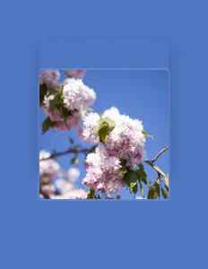 聆聽 Eva Hulda、觀看音樂影片、閱讀小傳、查看巡演日期等！