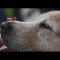 Somtimes I still wish - Single - LZY