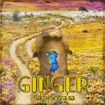 Ginger - Single