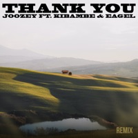 Thank You (Remix) [feat. Kibambe & Eagle] - Single - Joozey