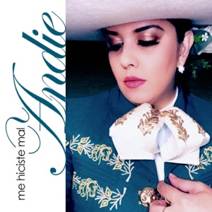 Me Hiciste Mal (feat. Mariachi Los Arrieros Del Valle) - Single