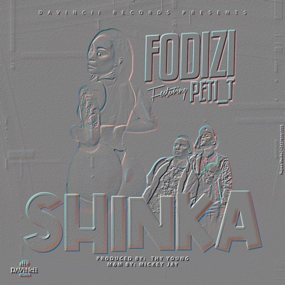 SHINKA (feat. Peti_t) - Single