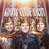 Koning Van De Nacht artwork