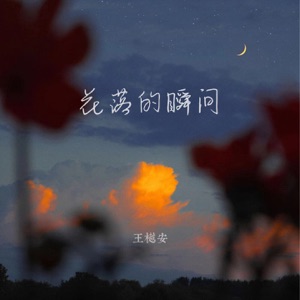 花落的瞬间 - Single