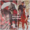 Davut Akaslan