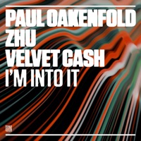 I'm Into It - Single - Paul Oakenfold, ZHU & Velvet Cash