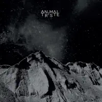 Dancing In The Dark — Animal Triste