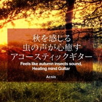 Feels like autumn insects sound,Healing mind Guitar vol.11, Drama "Boogie Woogie" Song Collection