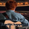 Ed What Happened - Single