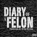 Diary of a Felon