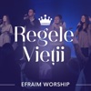 Regele vietii, Domnul meu - Single