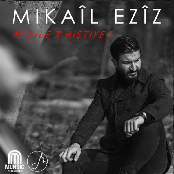 Kî Dilê te Hiştîye ? - Single