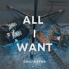 All I Want - Single