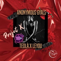 Projet X (feat. Leyou, Ted La & Anonymous Gyals) - Single - DJ Guyguy