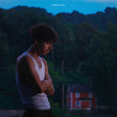 Vulnerable - EP