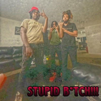 STUPID BITCH!!! (feat. BANDBOSS & LUHMURDAH JAY) - Single
