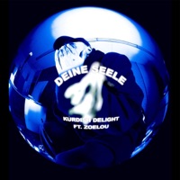 Deine Seele (feat. zoelou) - Single - Kurdish Delight
