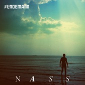 Nass artwork