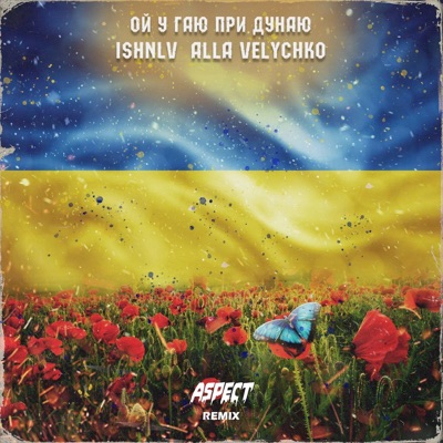 Ой у гаю при Дунаю (Aspect Remix) - Single