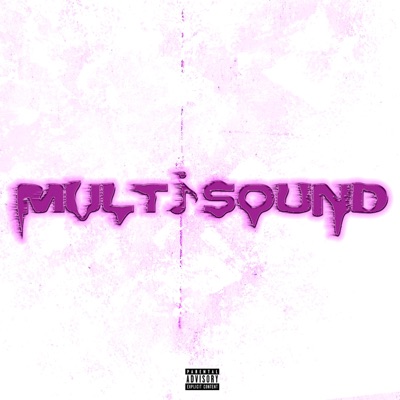 MULTISOUND