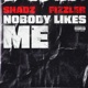 Nobody Likes Me Single