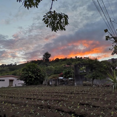 Angel Amedro - Como soy de enemiga