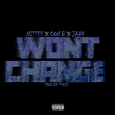 Wont Change (feat. Con B & F.H.E Jaay) - Single