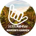 Marvin's Garden
