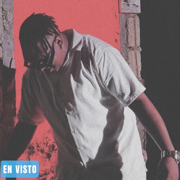 En Visto (feat. Leoo Dam)