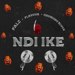 NDI IKE cover art