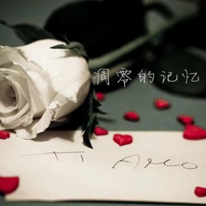 凋零的记忆 - Single