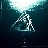 We Won't Be Ever There - Single - Voicians