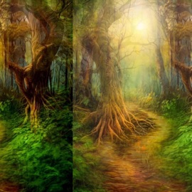 New Paths Pradaaslife, lewisgoing & Dyzphoria