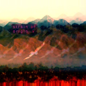 Charm Intersection (Software of Seagulls Remix)