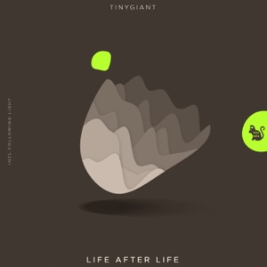 Life After Life - Single