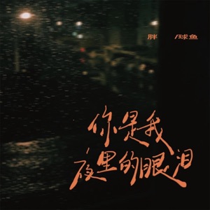 你是我夜里的眼泪 - EP