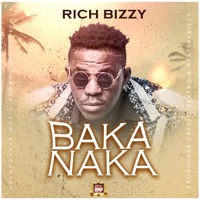 Bakanaka - Single - Rich Bizzy