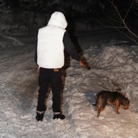 In the Shadows - Single - Sleepy13