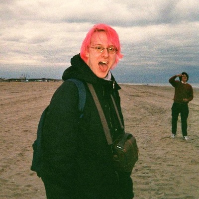 vogel auf dem drahtseil - Single