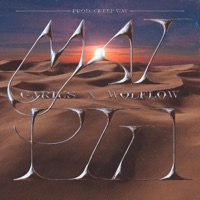 Mai Più (feat. Wolflow) - Single - Garius