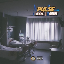 Explosions (feat. Ru Williams) Mook the Great