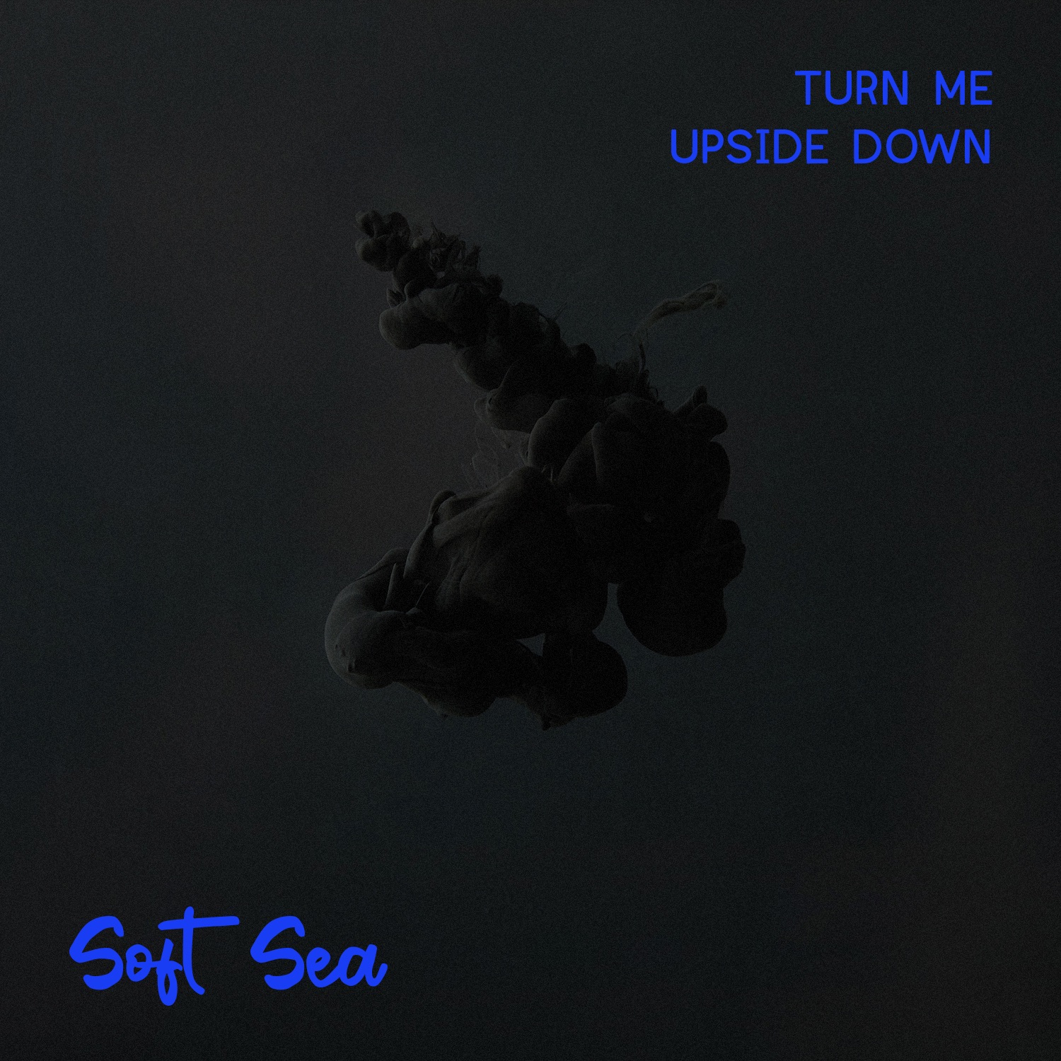Turn Me Upside Down - Single