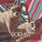 Miles Away - Poemss lyrics