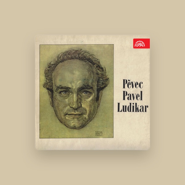 Pavel Ludikar's avatar