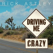 Driving Me Crazy (Edit) artwork